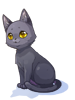 [衣装] 黒猫