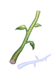植物の茎
